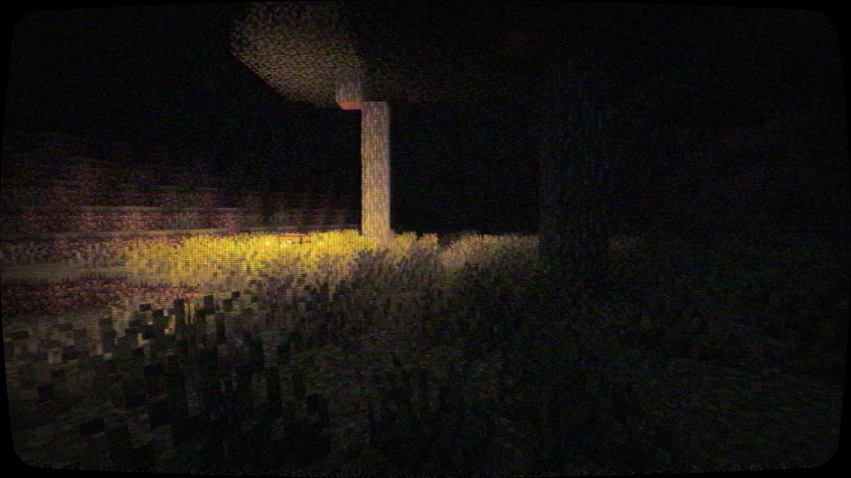 Forest at night, through the tape filter